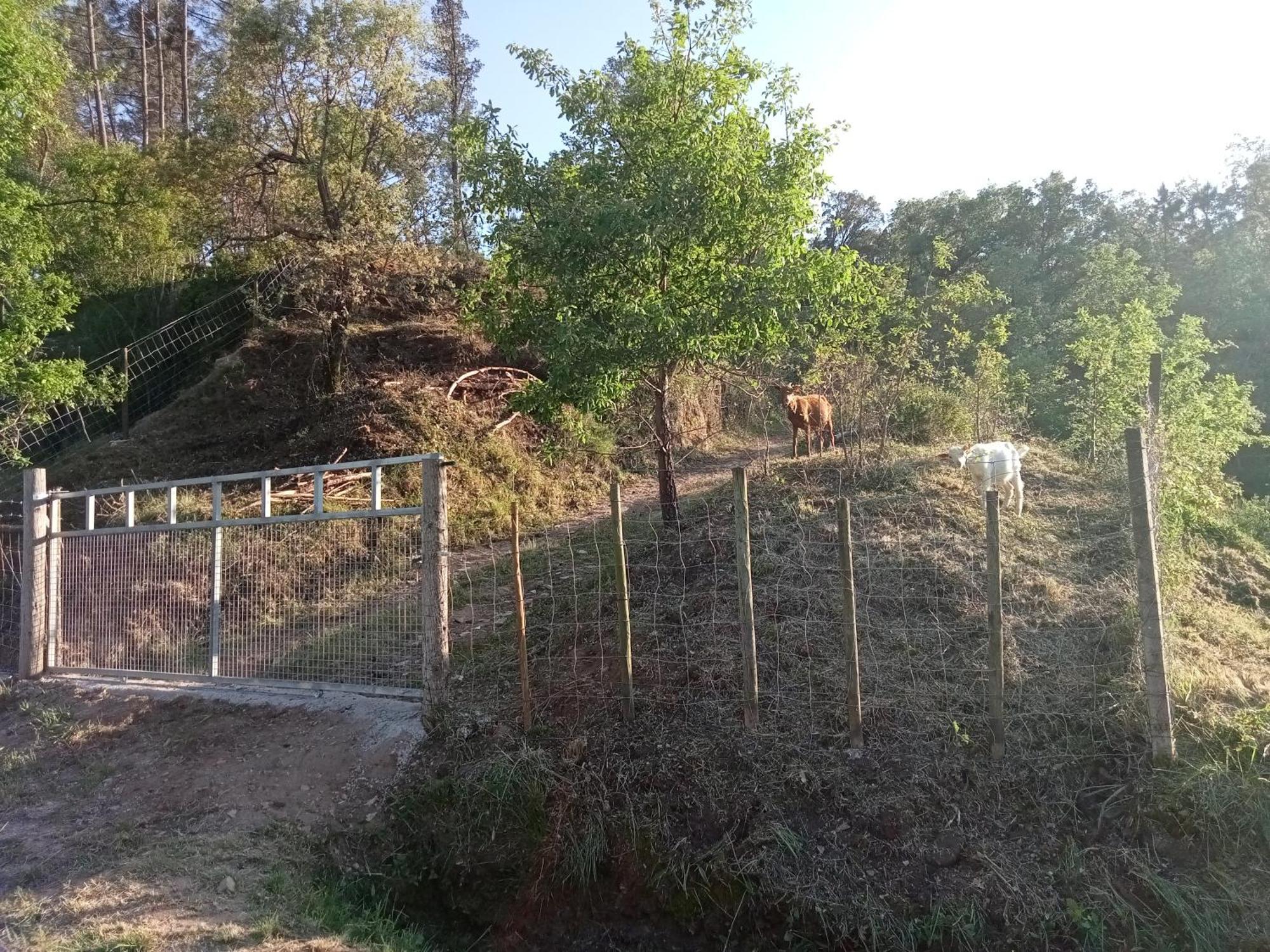 Alojamento Local - Casa Amarela Alvaiázere Εξωτερικό φωτογραφία